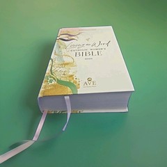 📖 Living the Word Catholic Women’s Bible RSV2CE Ave Maria Press Hardcover VG