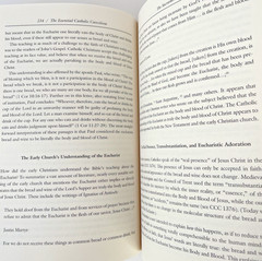 Essential Catholic Catechism by Alan Schreck Readable Comprehensive 1st Edition