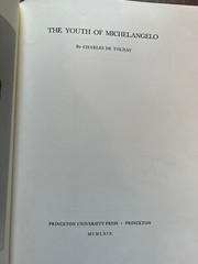 Michelangelo 3 Volume set (Youth, The Medici Chapel, The Tomb of Julius II)