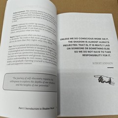 The Shadow Work Journal A Guide to Integrate and Transcend your Shadows (7-1)