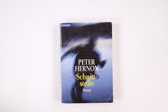 17274 Peter Hernon SCHNITTSTELLE Roman