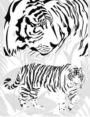 Coloring Book save the Tigers 108 Pages 8.5 x 11 for All Ages Best Tigers book
