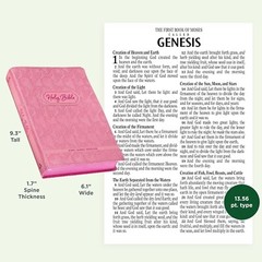 KJV Kids Bible, large print 40 Pages Full Color Study Helps, Presentation index