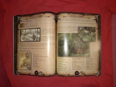 Two Worlds–The Official Strategy Guide 368 PAGES