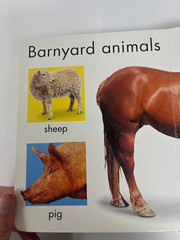 Happy Baby Animals 2002 Hardcover Jo Douglass
