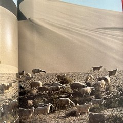 Journey Into China National Geographic Illustrated Travel History HC Book K1