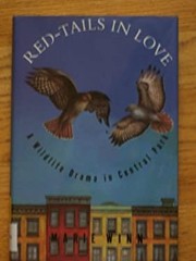 Red-Tails in Love : PALE MALE’s STORY–A True Wildlife Drama in C