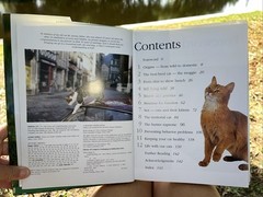 Understanding Cats: Their History, Nature, and Behavior by Tabor, Roger HB DJ