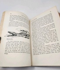 Vtg Prehistoric Animals Sam and Beryl Epstein 1956 1st Print Mylar HCDJ