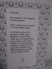 Novelty Gift Coloring Book for Adults Cat Butts Val Brains 44 pages 21 designs