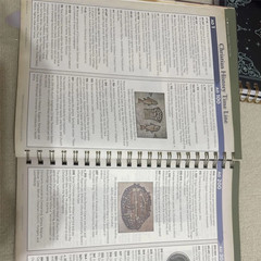 Rose Book of Bible Charts Maps & Time Lines 10th Anniversary Study Reference-US