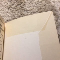 Rise Of The New West 1819–1829 Frederick Jackson Turner 1968 Collier Books