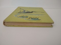 Adventure in Forgotten Valley Glyn Frewer 1964 A Guild Book G P Putnam’s Sons HB