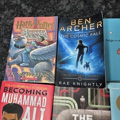 Lot of 12 Chapter Books BOYS Youth Early Reader Young Adults Children Adventure