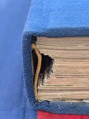 CHESNOFF 13 LB ABRAMS BOOK 17 X 12 X 2-1/4 CHESNOFF 13 LB ABRAMS NATION TREASURE
