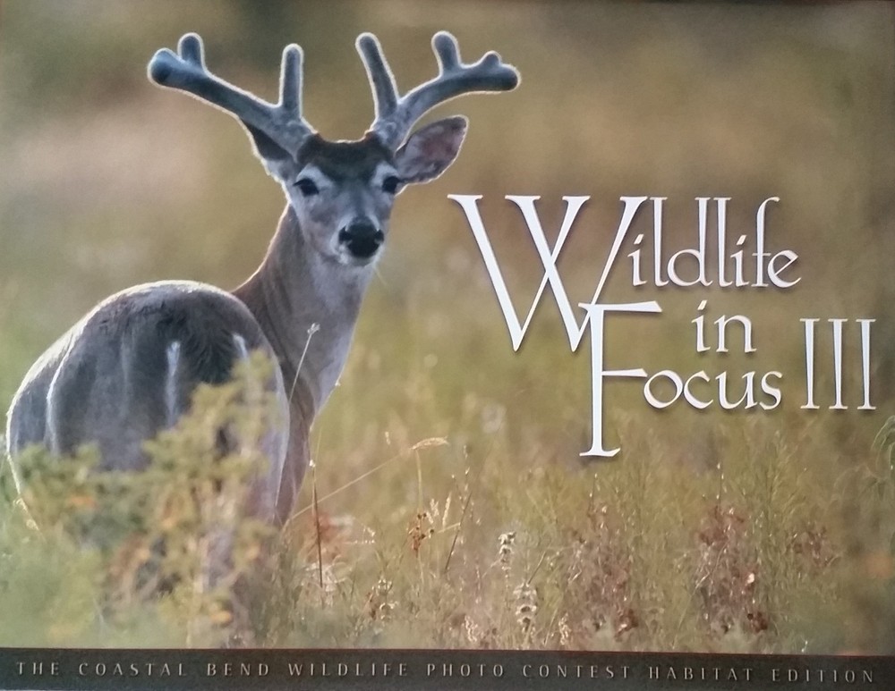 Wildlife in Focus III (Habitat Edition) (Wildlife in Focus, 3)