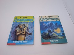 LOT OF 30: Vintage 90s RL Stine GOOSEBUMPS Books VG/EX All Different + Extras