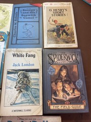 Vintage Lot of 30 Books Random Years for Kids/ Young Teens/Preschool BB6
