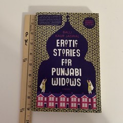 A NOVEL: EROTIC STORIES FOR PUNJABI WIDOWS BY BALLI KAUR JAISWAL 2017 ENGLISH