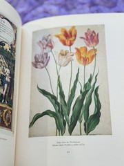The Tulip | by Anna Pavord | First U.S. Edition | 1999 HC/DJ | Botanical History