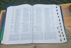 SCARCE! 1995 NASB Ryrie Study Bible Thumb Indexed HCDJ 1995c. USA GOOD+