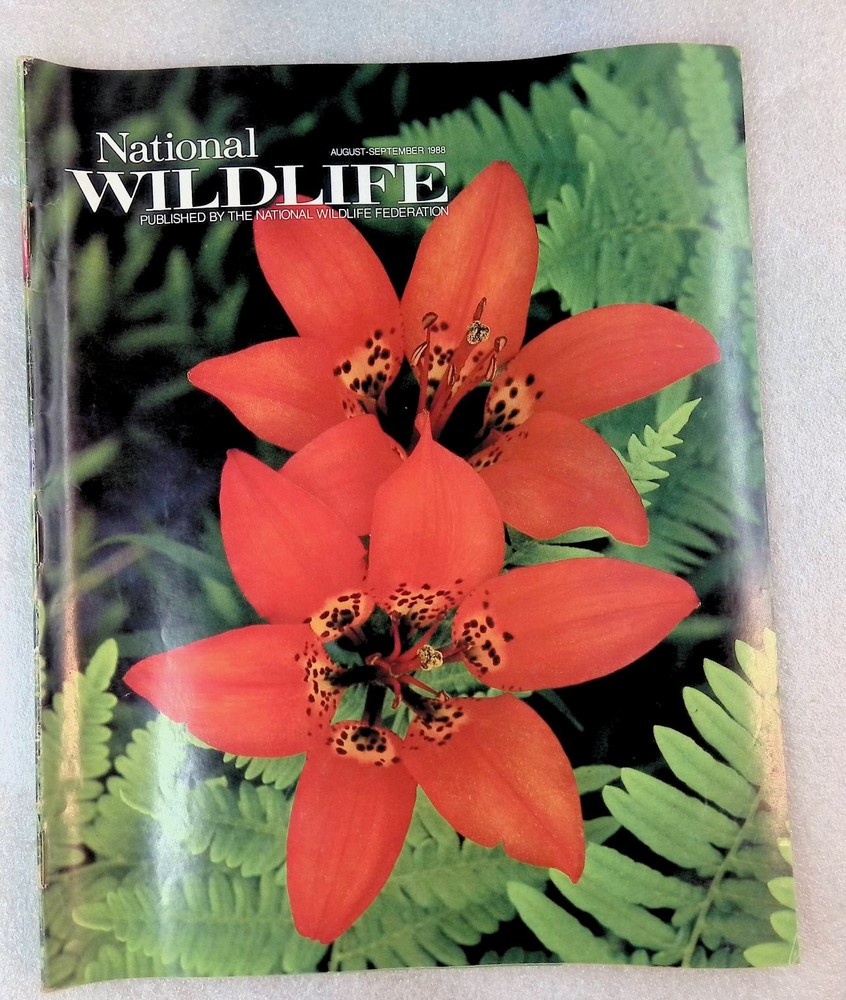 National Wildlife Magazine Aug-Sept 1988 Vintage Nature Wildlife Federation