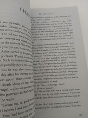 Theo of Golden By Allen Levi English PB