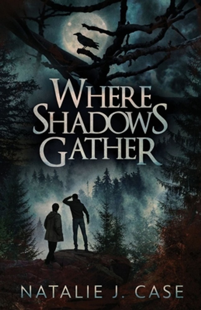 Where Shadows Gather by Natalie J. Case Paperback Book