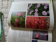 THE COMPLETE BOOK OF PRACTICAL GARDENING Peter McHoy 2001 512 Pages 12×9″ HC DJ