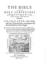 1560 &1599 Geneva Bible-Reformation Scripture CommentaryJohn Calvin & Beza-on CD