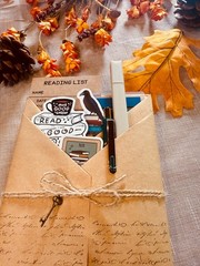 Blind Date With a Book Set – Choose Your Genre – Book Lover Set