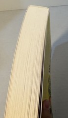 100 Days of Sunlight by Abbie Emmons (2019, Trade Paperback)