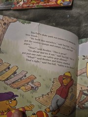 The Berenstain Bears 17 Book Lot Total Huge Lot Bundle