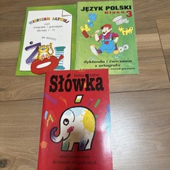 Język Polski Ortografia I Gramatyka Dla Dzieci 17 Książek Klasa 1-5 Polish books