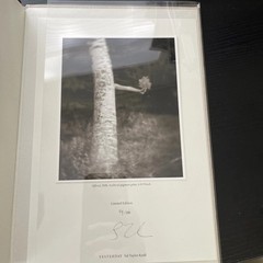 Sal Taylor Kydd Special/Limited Edition 79/200 Rare 1st ed „Yesterday” **Signed*