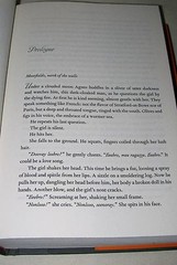 A BURNABLE BOOK by Bruce Holsinger 2014 HC/DJ ~ 1st Edition 1st Printing + Cover
