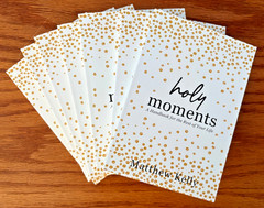 Holy Moments A Handbook for the Rest of Your Life Matthew Kelly + Free Gift 🙏