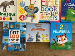 10 Toddler Board Books Lot ABC Numbers Animals Dinosaur Priddy Baby DK Learning