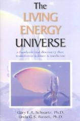 The Living Energy Universe – Hardcover By Schwartz, Gary E. R. – VERY GOOD