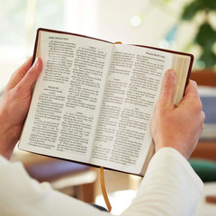 KJV Holy Bible: Personal Size Giant Print, Brown Leathersoft, Red Letter,…