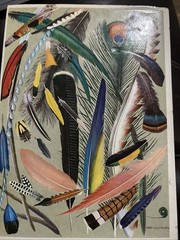 World of Birds,JAMES FISHER AND ROGER TORY PETERSON – New and Revised Edition