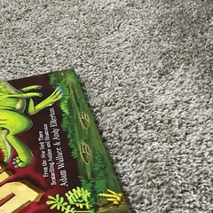 Adam Wallace How to Catch a Dinosaur Hardcover Illustrated Picture Book Ages 4-8