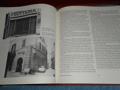 The Conservation of European Cities Donald Appleyard 1979 HC/DJ MIT Press Book