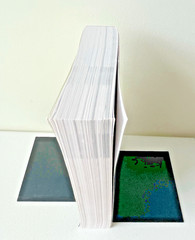 The Life Recovery Bible NLT (Softcover) by Tyndale 2013