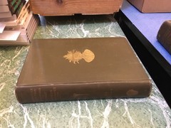 PUBLICATIONS OF THE BUREAU OF AMERICAN ETHNOLOGY 19 2 Vol HB 1900 JW Powell