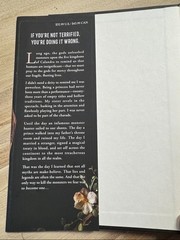 NEW Shield of Sparrows By Devney Perry Fiction Romantasy Novel Hardcover