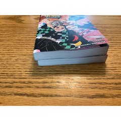 Demon Slayer Kimetsu no Yaiba Light Novels Flower of Happiness One-Winged But…