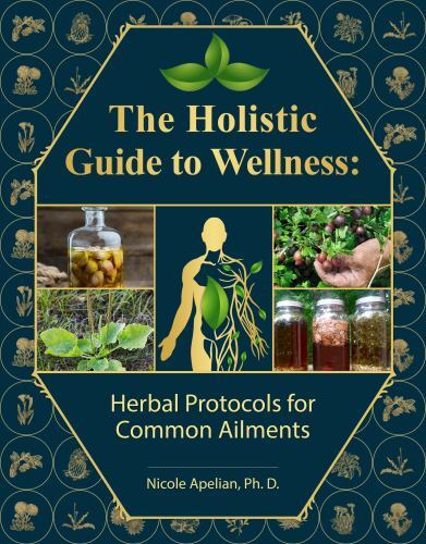 The Holistic Guide to Wellness : Herbal Protocols for Common Ailments, Nicole Ap