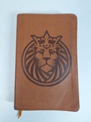 Holman Bible Christian Standard Version Children’s Lion King Cover Color Maps