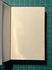 Letters of James Whitcomb Riley edited by William Lyon Phelps